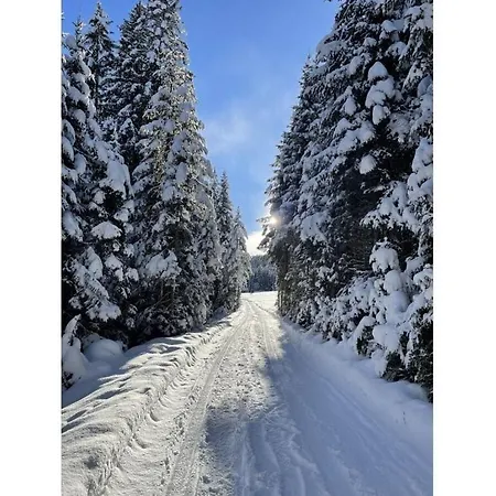Alpengluehen Apartament Unterweidach